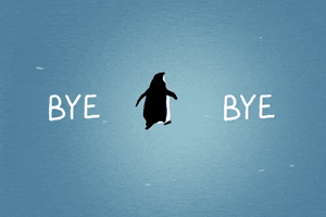 Bye Bye!