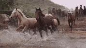 GIF by Matchbox Studio