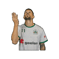 Sport Heerlen Sticker by Groene ster