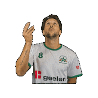 Sport Heerlen Sticker by Groene ster