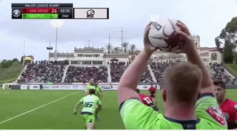 sammytuitalifalinoaa giphyupload GIF