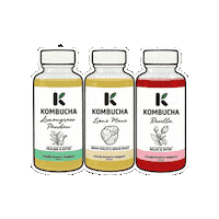Tea Remedy Sticker by Kombucha Works