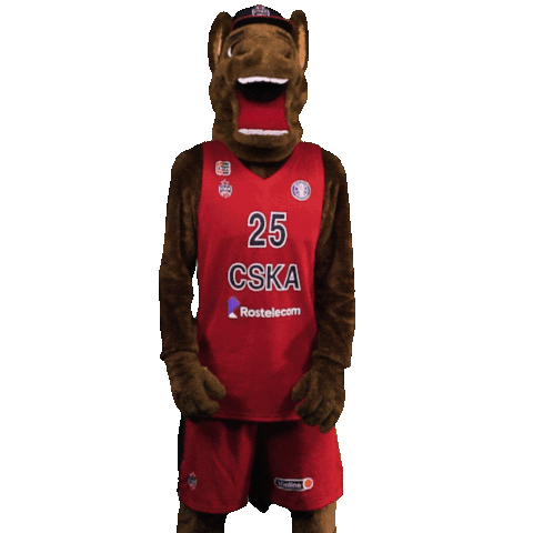 Happy Sport Sticker by CSKA Moscow