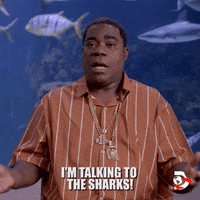 Comedy What GIF by Shark Week