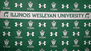 Iwutitans Tgoe GIF by iwusports