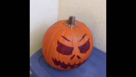 Trick Or Treat Reaction GIF by Robert E Blackmon