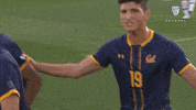 Soccer California GIF by Pac-12 Network