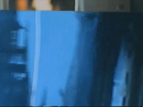 Footage Oaf GIF by jorgemariozuleta