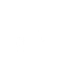 SpringHillCollege badgers shc spring hill hill yeah Sticker