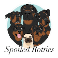 Rescue Dog Sticker by MeganWargula