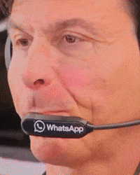 Formula 1 F1 GIF
