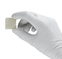 Osteogenos evolution derma rog genos Sticker