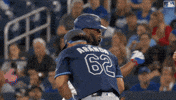 Blue Jays Baseball GIF by Toronto Blue Jays