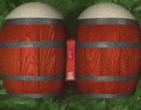 Donkey Kong Dk GIF