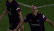 Goalcelebration GIF by National Women's Soccer League