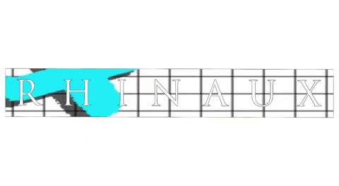 Rhinaux rx12 rhx rhinaux rxlogo GIF