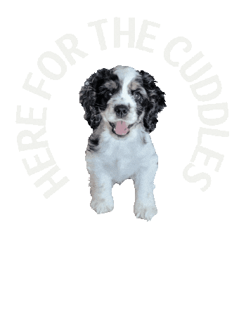 Campcocker2025 Sticker by Camp Cocker Rescue