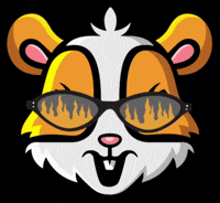 HamsterCoin  GIF