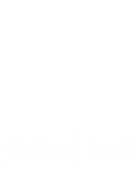 Ssode Sticker by Star Stable
