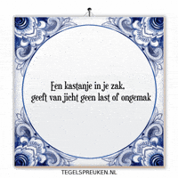 Humor Nl GIF by Tegelspreuken.nl