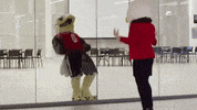 eastern-washington-university swoop ewu eastern washington university GIF