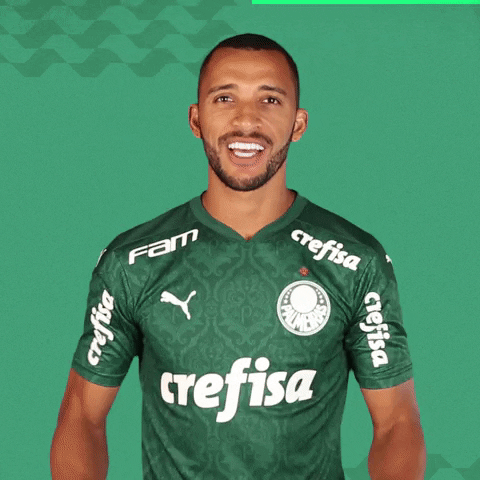 Puma Hugo GIF by SE Palmeiras