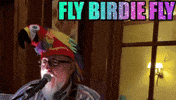 Jimmy Buffet Parrothead GIF by EIDL Experts & Biz Glitch 366