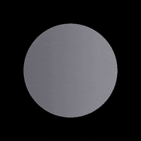 Agency Talent GIF by Kristian Thomas Co;