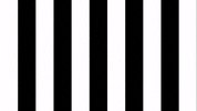 Presentation Striker GIF by SK Sturm Graz