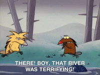 nickrewind nicksplat angry beavers GIF
