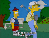 homer simpson GIF