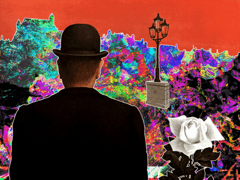 GIF by Canek