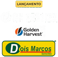 Golden Harvest Wehrmann Sticker by Inova Genética