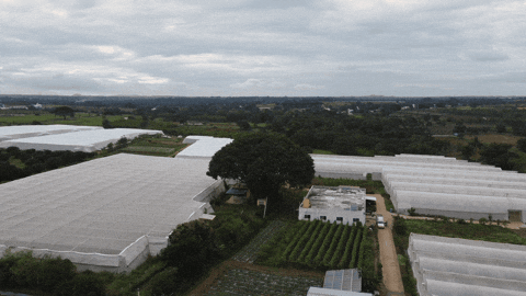 ayetas giphyupload GIF