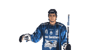 Hockey Correia Sticker by Les Rapaces de Gap