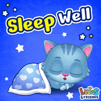 Good Night Cat GIF by Lucas and Friends by RV AppStudios