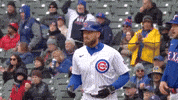 High Five Chicago Cubs GIF by TheDreamTeam 