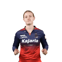 Happy Dance Sticker by Royal Challengers Bengaluru