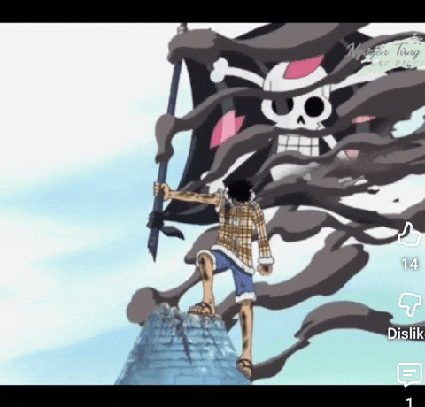 Onepice GIF