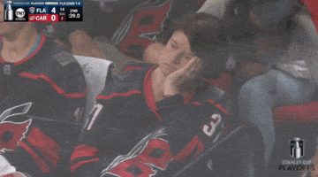 Stanley Cup Playoffs No GIF by NHL
