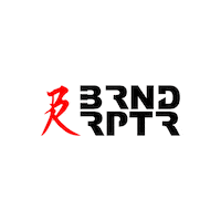 BrandRaptor photography videography brlogo brandraptorlogo Sticker
