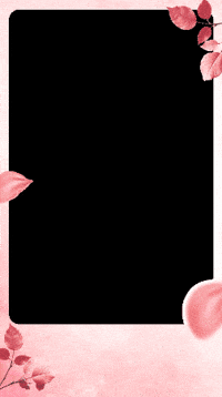 Internet Biazi GIF by Biazi Telecom