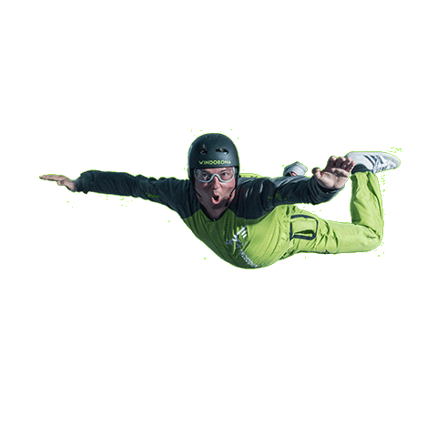 windobonamadrid giphyupload deporte skydiving volar Sticker