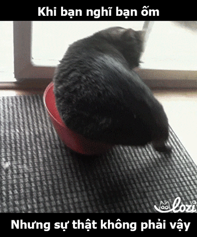 GIF by Lozi Singapore Co.