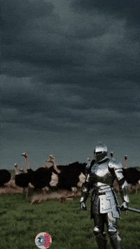 Cat Coffee GIF by Knightmare