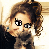 cat friends GIF