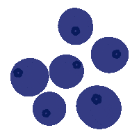 Fruit Berry Sticker
