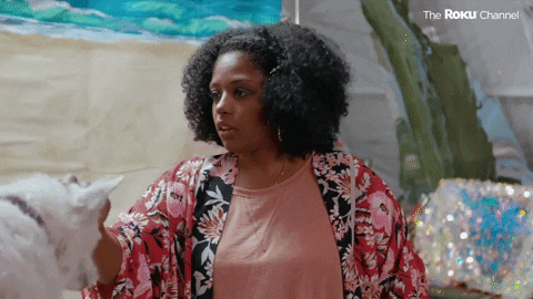 Barkitecture GIF by The Roku Channel