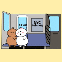 bubsnbubsy white nyc brown subway GIF