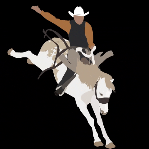 RanchEventsComplex giphyupload cowboy rodeo bec GIF